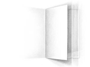 Plis Pages_doble_pag_2_page-0005