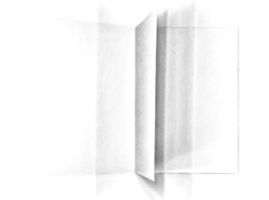 Plis Pages_doble_pag_2_page-0007