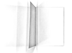 Plis Pages_doble_pag_2_page-0009