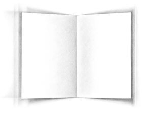 Plis Pages_doble_pag_2_page-0012