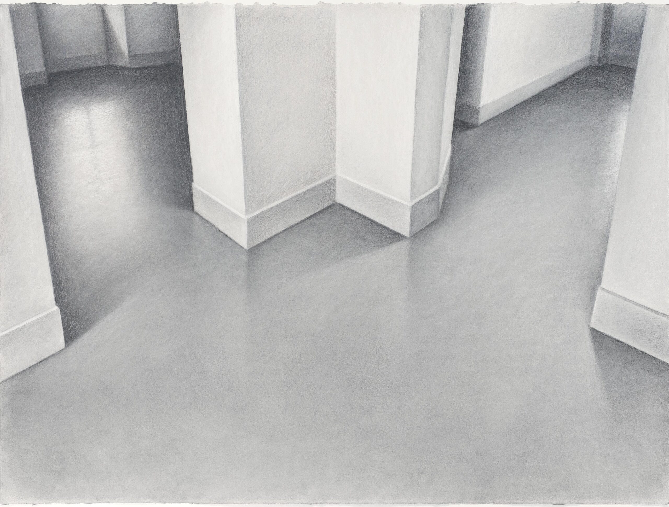 2020. Lápiz y tiza sobre papel gris. 56 x 76 cm